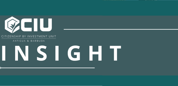 Newsletter – INSIGHT – Vol 2